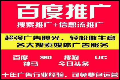 SEM运营公司案例解析：精准广告投放技巧